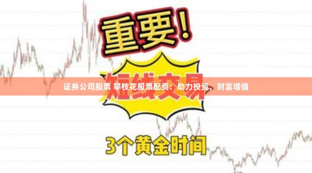 证券公司股票 攀枝花股票配资：助力投资，财富增值
