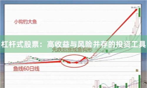 杠杆式股票：高收益与风险并存的投资工具