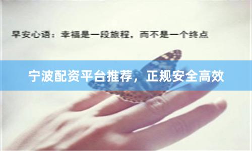 宁波配资平台推荐，正规安全高效